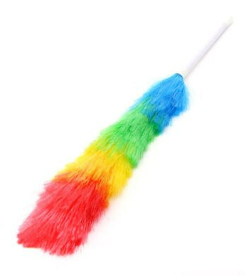 Feather Duster