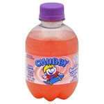 Chubby Bubble Gum Soda 250ml/24